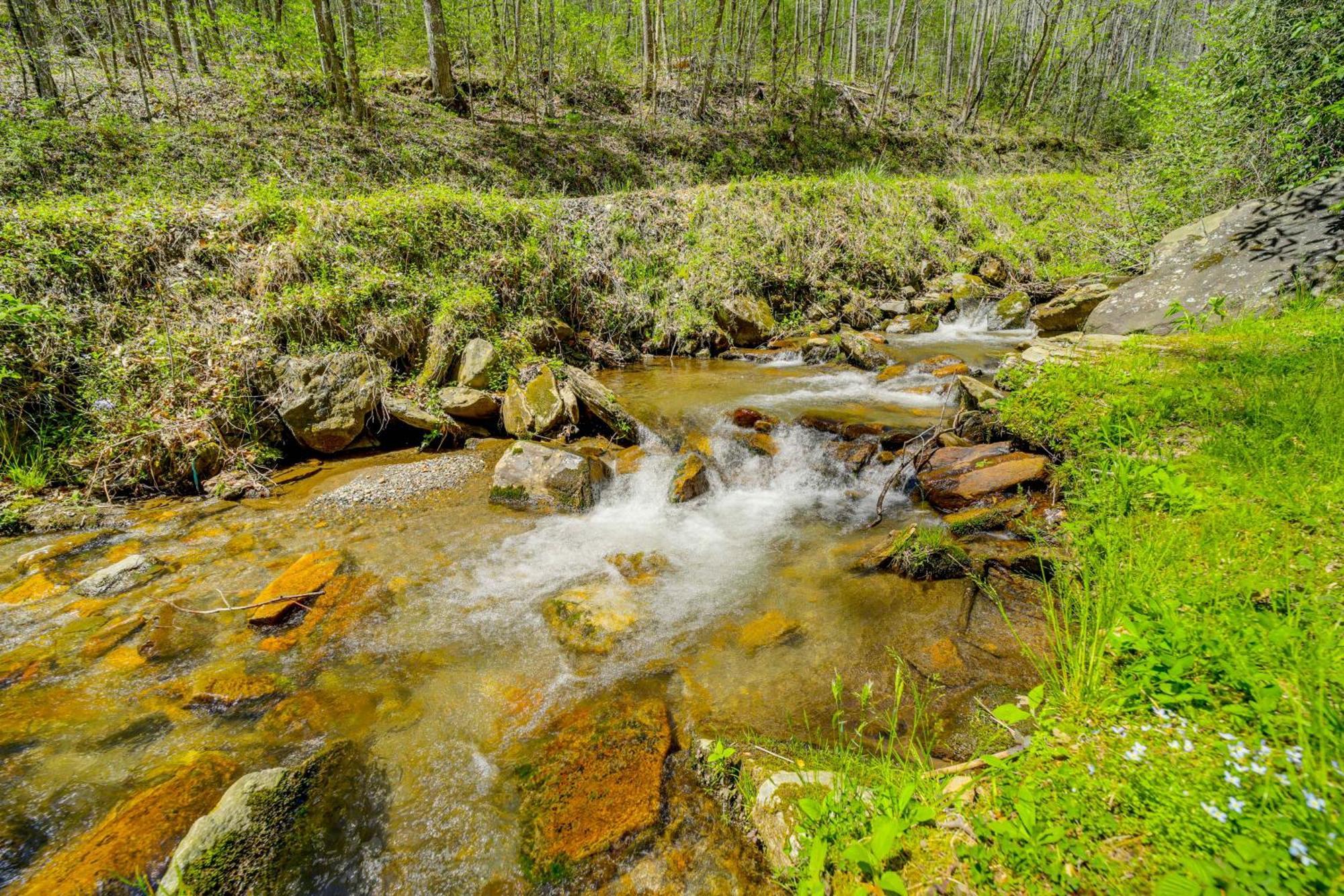 Creekside Whittier Cabin With Fire Pit Near Hiking! Екстер'єр фото
